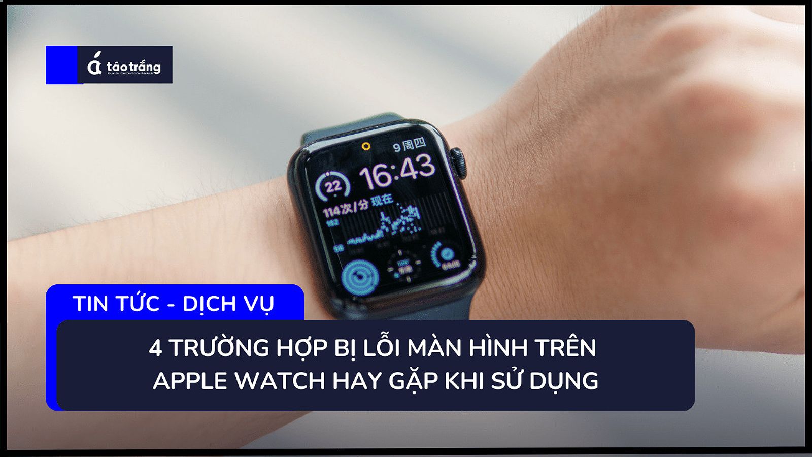 Hình ảnh minh họa lỗi màn hình trên Apple Watch