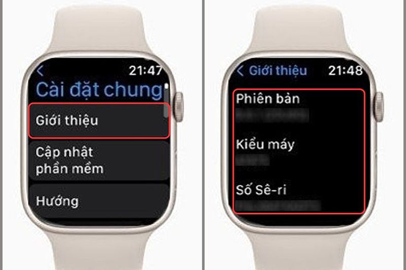 Kiểm tra số seri của Apple Watch cũ.